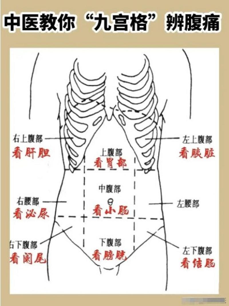 女上男下姿势后左下腹肚子疼