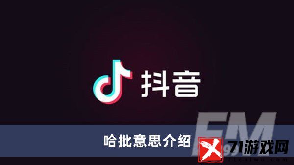 哈批是什么意思 哈批意思分享