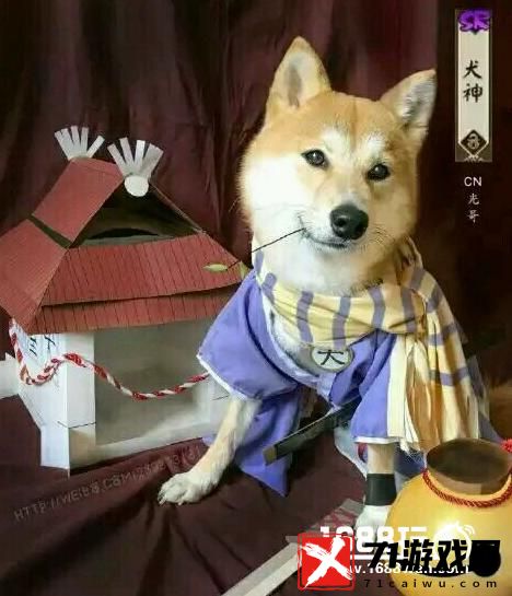 "逆袭之犬：阴阳师犬神强势阵容搭配指南"