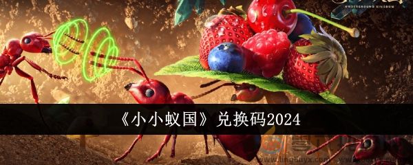 小小蚁国兑换码2024