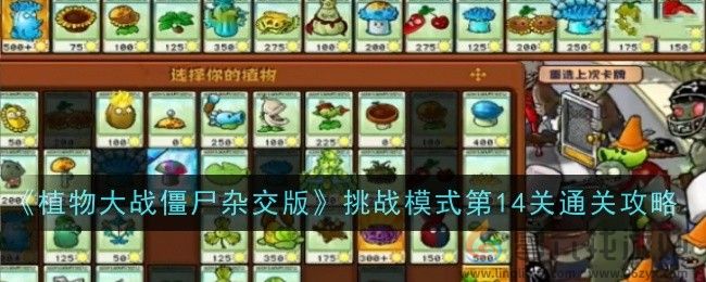 植物大战僵尸杂交版挑战模式第14关通关攻略