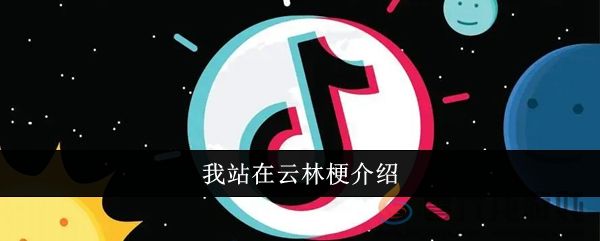 我站在云林梗介绍