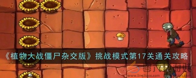 植物大战僵尸杂交版挑战模式第17关通关攻略