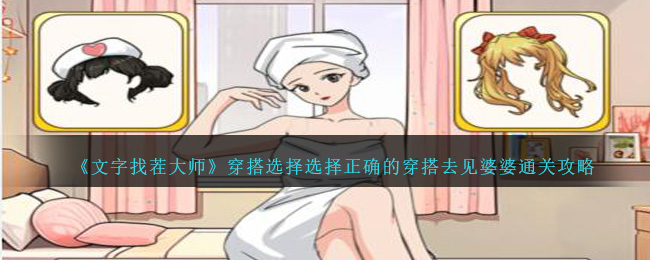 文字找茬大师穿搭选择选择正确的穿搭去见婆婆通关攻略一览