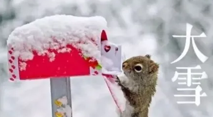 大雪文案大全